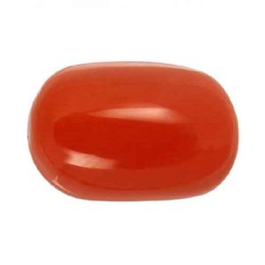 Red Coral (Rokto Probal - Moonga)​ www.tajdiamondbd.com
