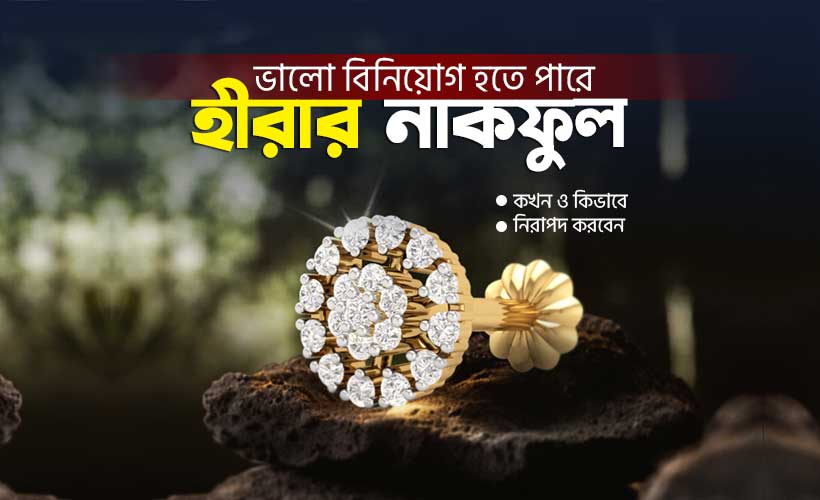 ডায়মন্ড-নোজ-পিন-বিনিয়োগ-কেন-কখন-ও-কিভাবে-নিরাপদ-করবেন